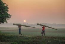 Forbo Flooring Systems joins WorldGBC’s corporate advisory board WorldGBC