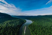 Peru: sensational flooring products and sustainable logging practices