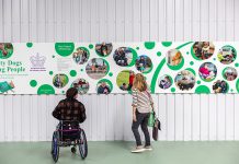 Getting tails wagging at competition winner’s HQ