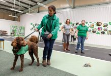 Getting tails wagging at competition winner’s HQ