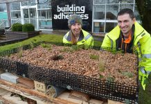 ‘Buggingham Pallets’ welcomes new insect arrivals