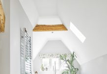 LeoLine Powers up vinyl with premium